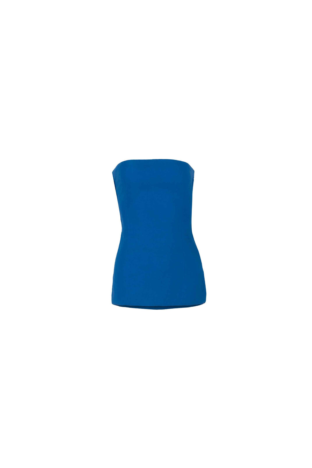 Continuum Strapless Extended Bodice Top - Anasua 